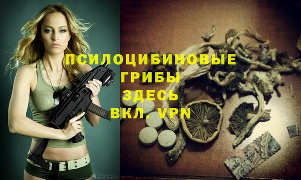 соль курить ск Рославль