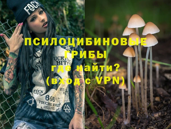 скорость Алзамай